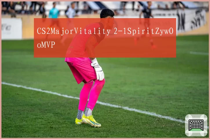 CS2MajorVitality 2-1SpiritZywOoMVP