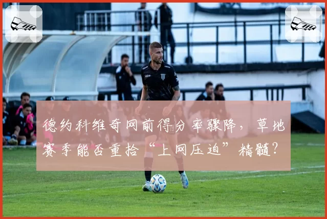 德约科维奇网前得分率骤降，草地赛季能否重拾“上网压迫”精髓？